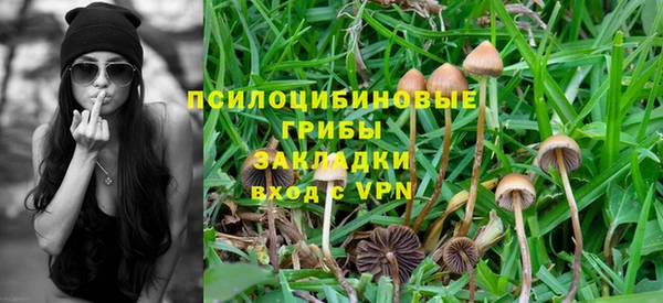apvp Абинск
