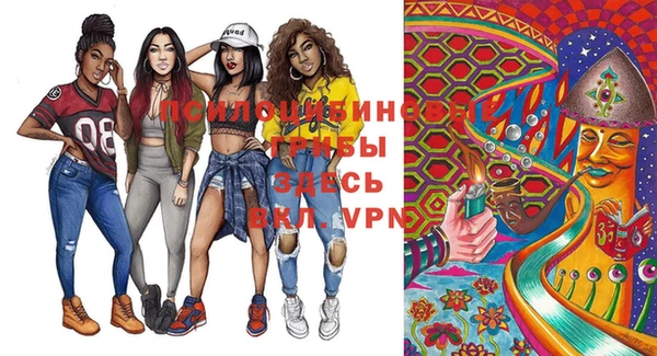 apvp Абинск