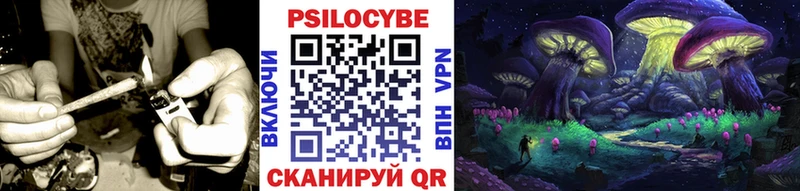 Галлюциногенные грибы Psilocybe  blacksprut ONION  Туран 